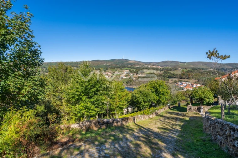 Terreno Agricola ou Rústico para Venda em Venda Nova e Pondras Foto 11