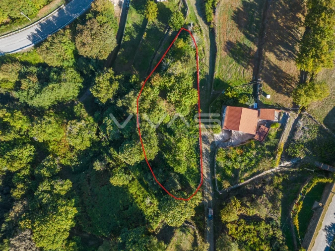 Terreno Agricola ou Rústico para Venda em Venda Nova e Pondras Foto 3