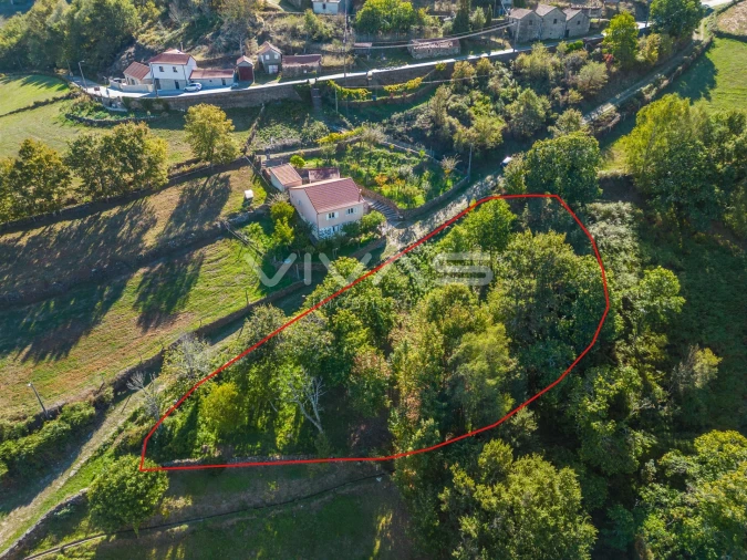 Terreno Agricola ou Rústico para Venda em Venda Nova e Pondras Foto 2