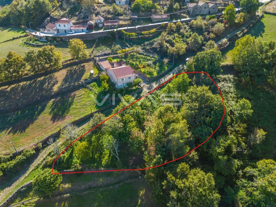 Terreno Agricola ou Rústico para Venda em Venda Nova e Pondras Foto 2