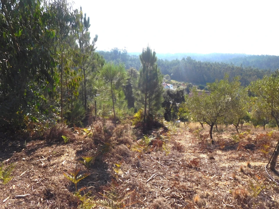 Moradia T3 para Venda em Vinha da Rainha Foto 22