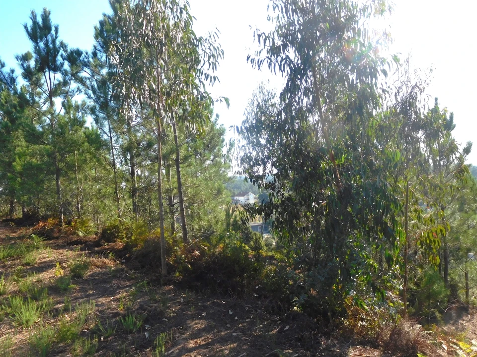 Moradia T3 para Venda em Vinha da Rainha Foto 23