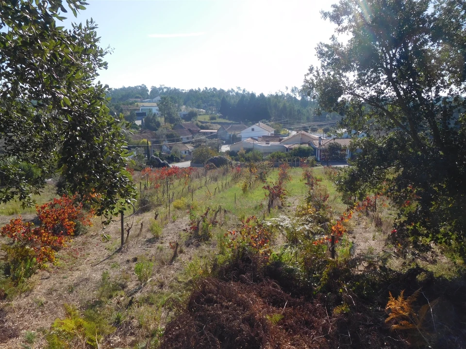 Moradia T3 para Venda em Vinha da Rainha Foto 27