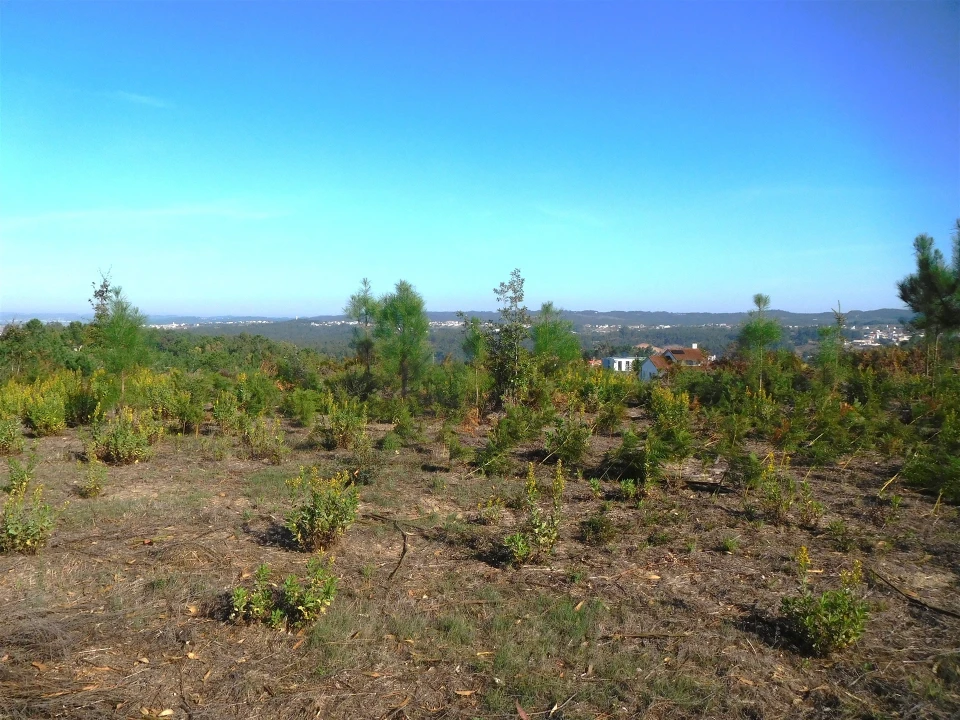 Moradia T3 para Venda em Vinha da Rainha Foto 24