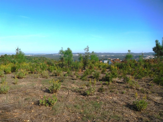 Moradia T3 para Venda em Vinha da Rainha Foto 24