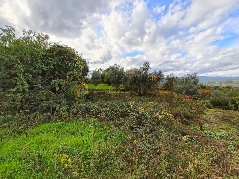 Terreno para Venda em Silgueiros Foto 3