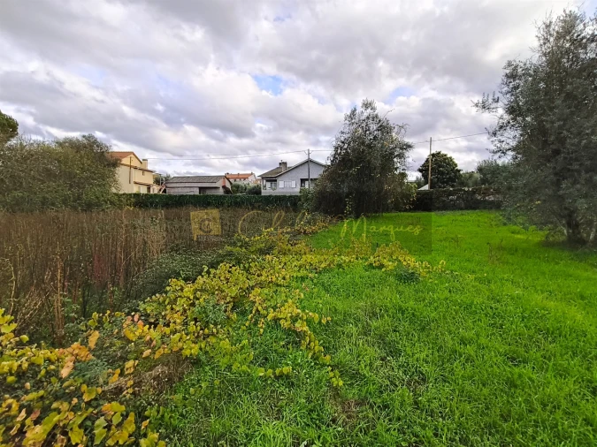 Terreno para Venda em Silgueiros Foto 6