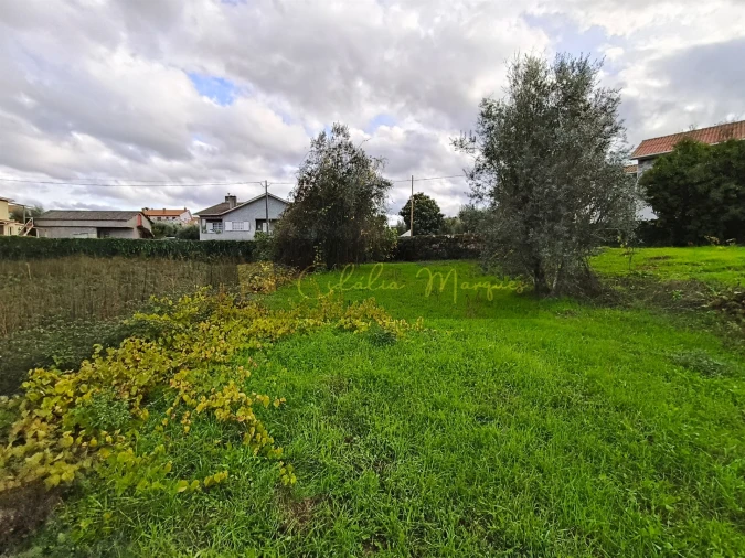 Terreno para Venda em Silgueiros Foto 5