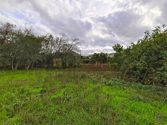 Terreno para Venda em Silgueiros Foto 4