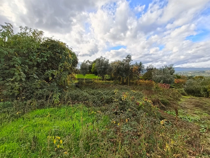Terreno para Venda em Silgueiros Foto 3