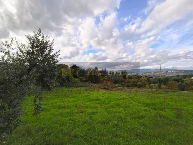 Terreno para Venda em Silgueiros Foto 2