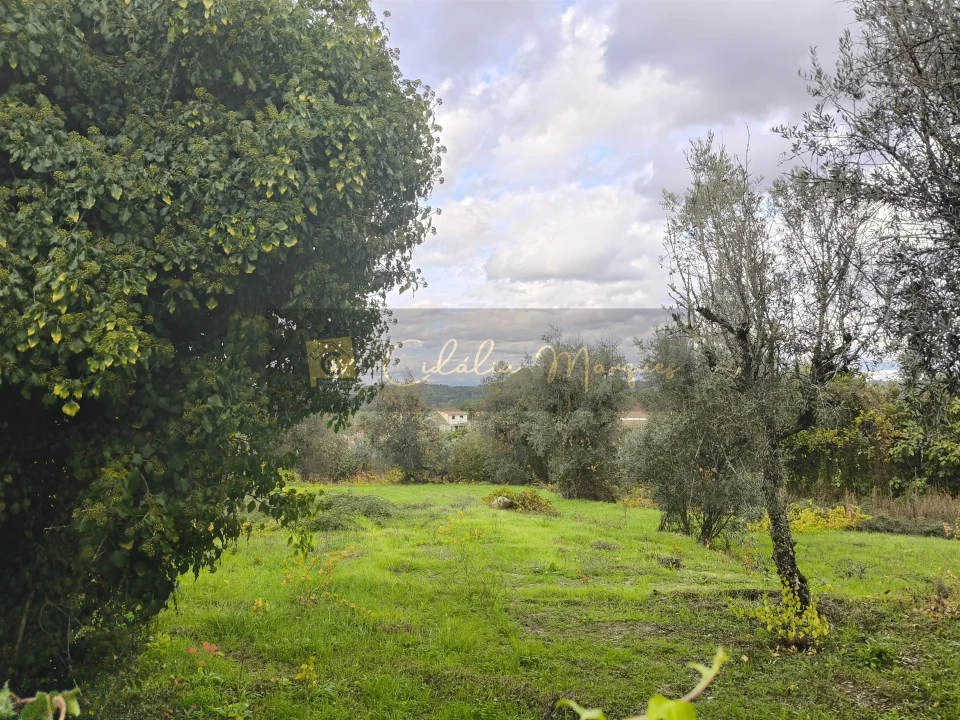 Terreno para Venda em Silgueiros Foto 2