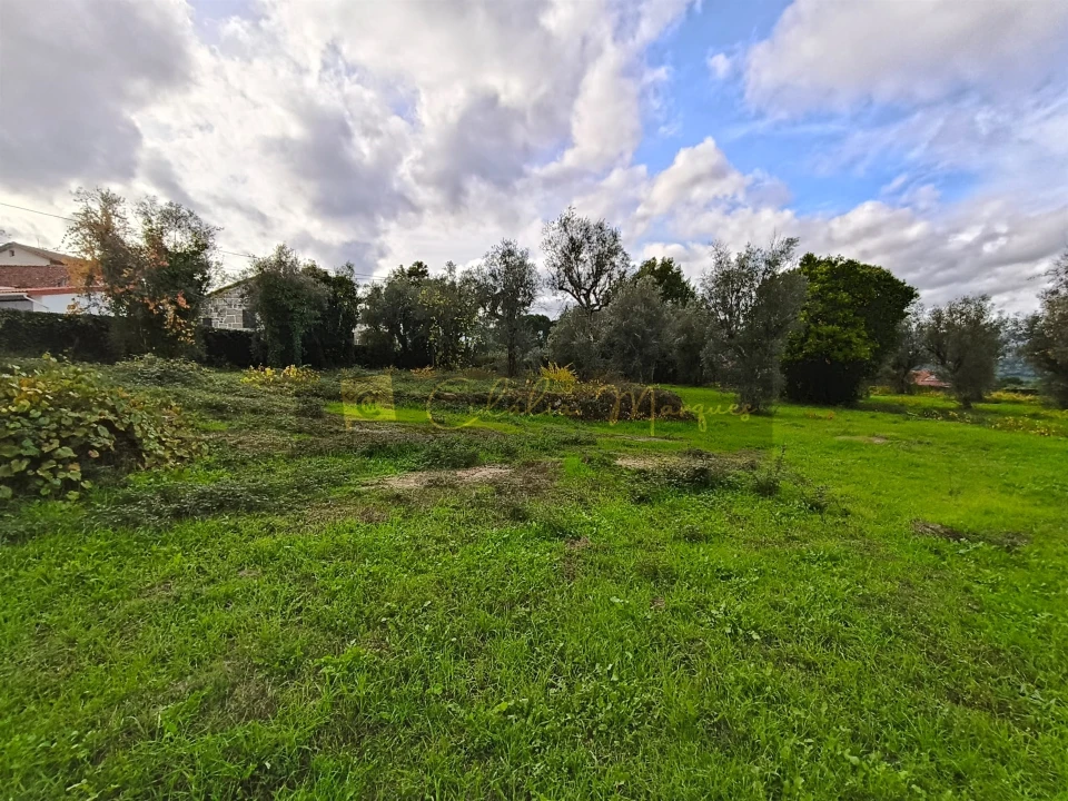 Terreno para Venda em Silgueiros Foto 5