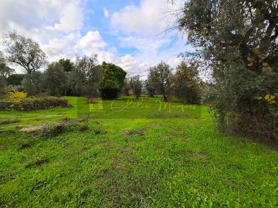 Terreno para Venda em Silgueiros Foto 4