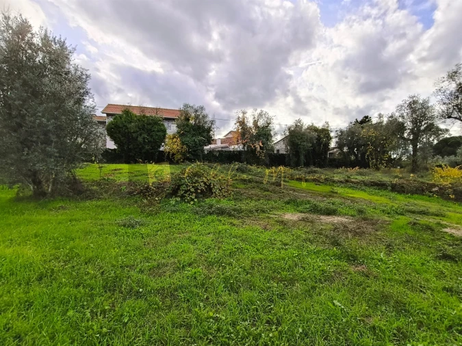 Terreno para Venda em Silgueiros Foto 6