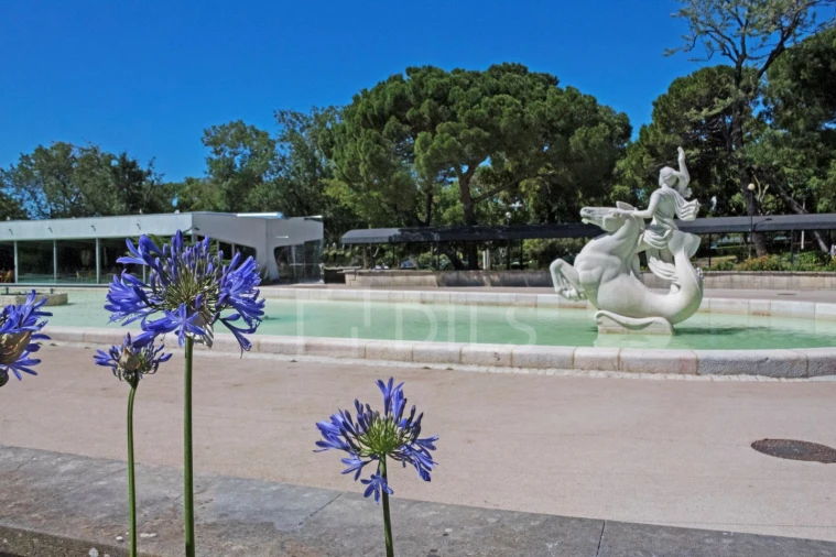 Apartamento T4 para Arrendamento em Avenidas Novas Foto 11