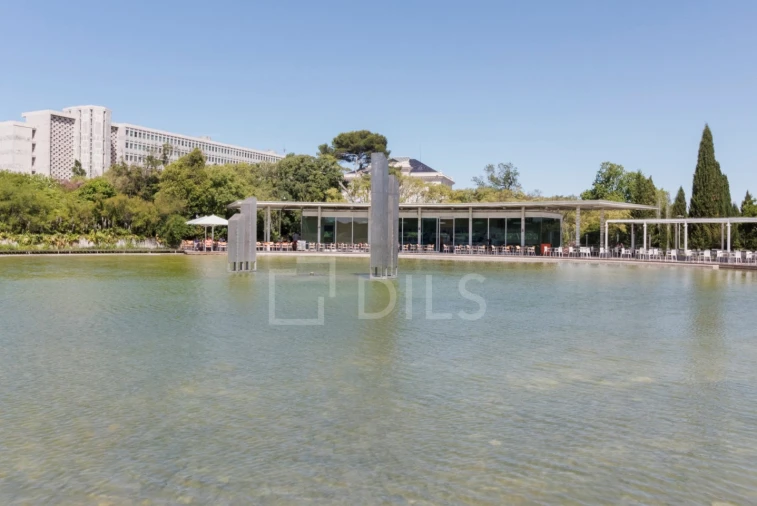 Apartamento T4 para Arrendamento em Avenidas Novas Foto 19