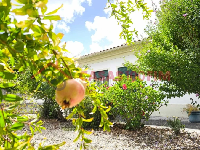 Moradia T3 para Venda em Marinha Grande