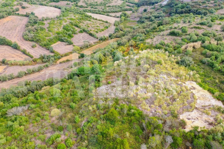 Terreno para Venda em Venda do Pinheiro e Santo Estêvão das Galés Foto 5