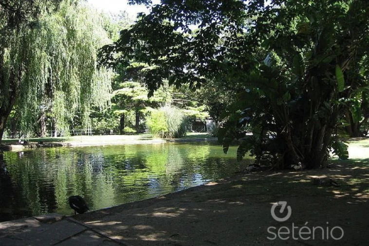 Prédio para Venda em Arroios Foto 6