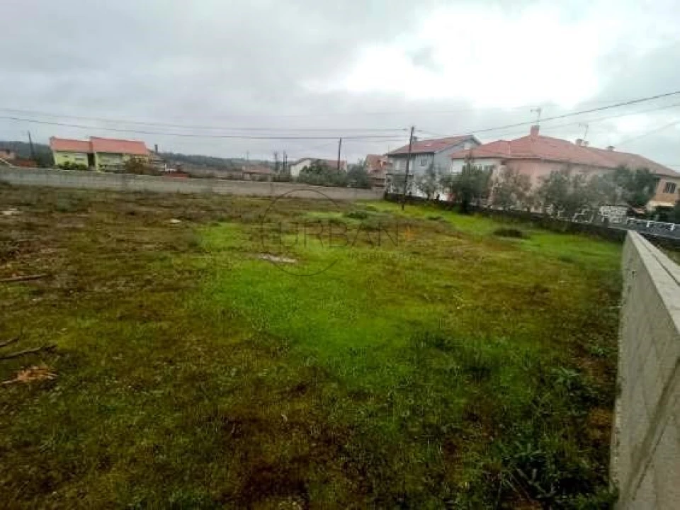 Terreno para Venda em Molelos Foto 8