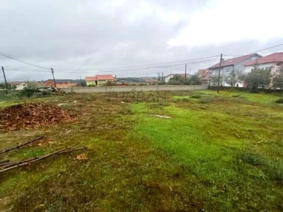 Terreno para Venda em Molelos Foto 2