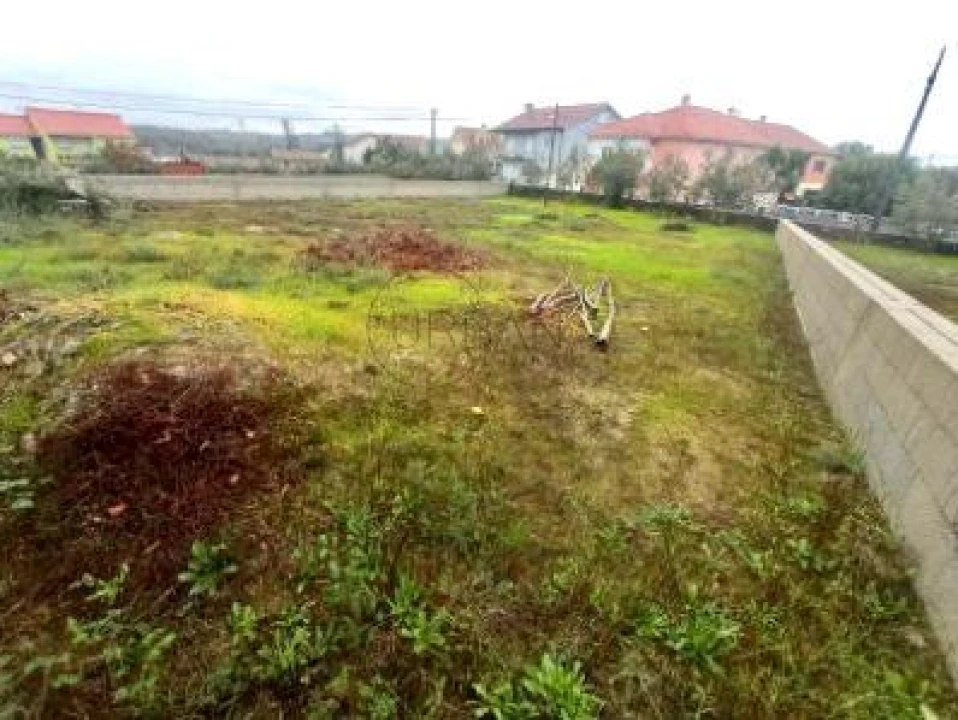 Terreno para Venda em Molelos Foto 9