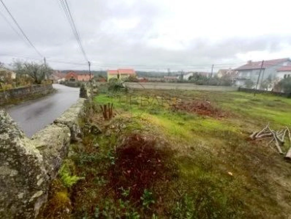 Terreno para Venda em Molelos Foto 3