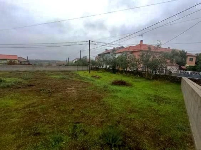 Terreno para Venda em Molelos