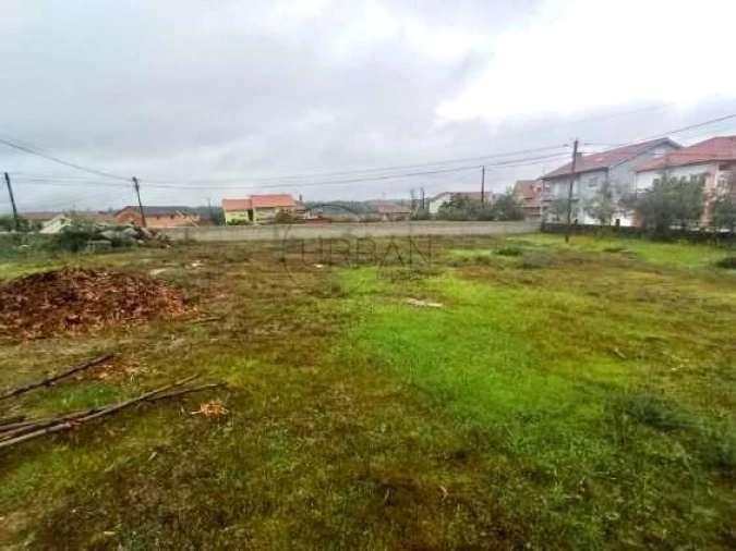 Terreno para Venda em Molelos Foto 2