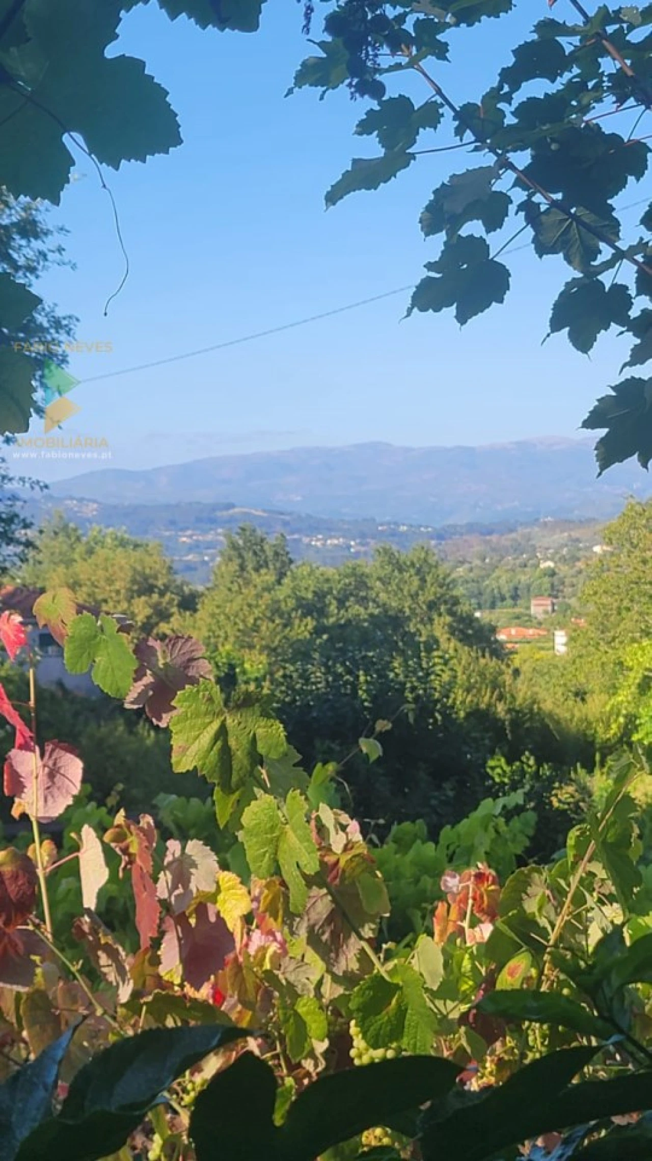 Quinta T3 para Venda em Beiral do Lima Foto 8