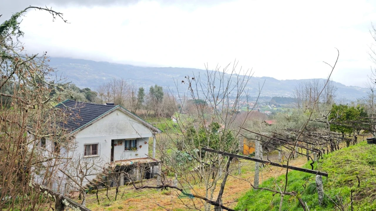 Quinta T3 para Venda em Beiral do Lima Foto 4
