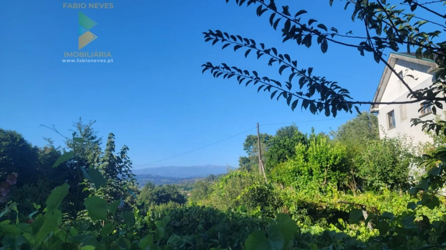 Quinta T3 para Venda em Beiral do Lima Foto 6