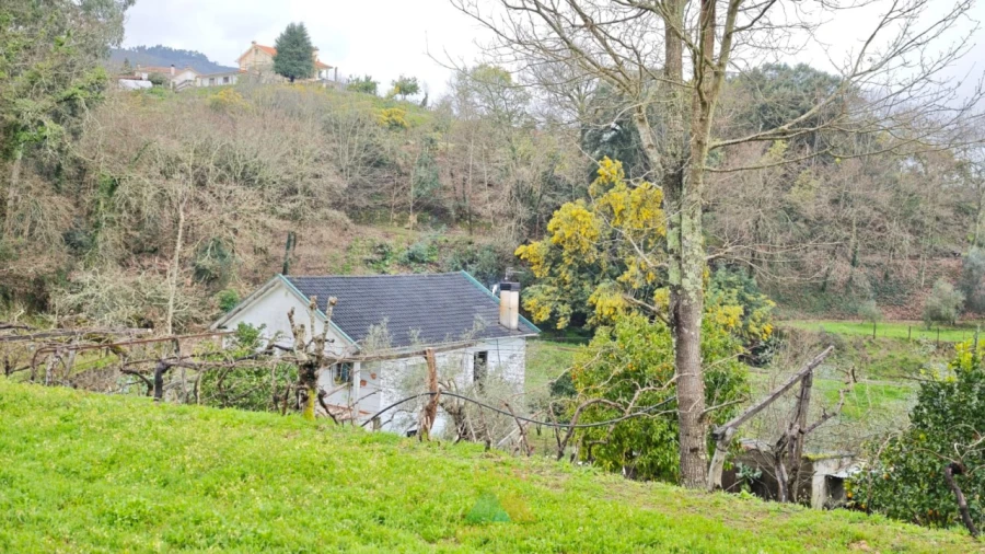 Quinta T3 para Venda em Beiral do Lima Foto 5