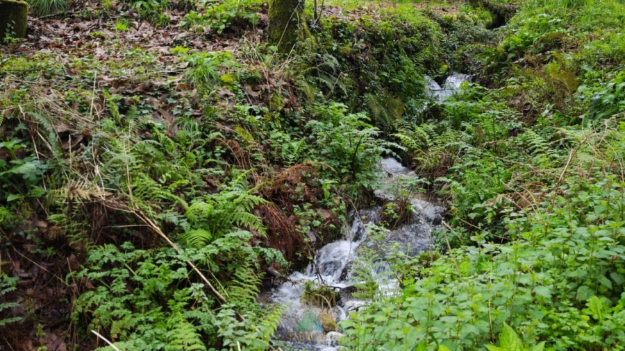 Quinta T3 para Venda em Beiral do Lima Foto 36