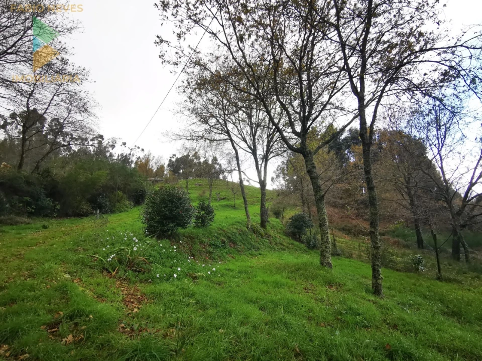 Moradia T2 para Venda em Gondufe Foto 17