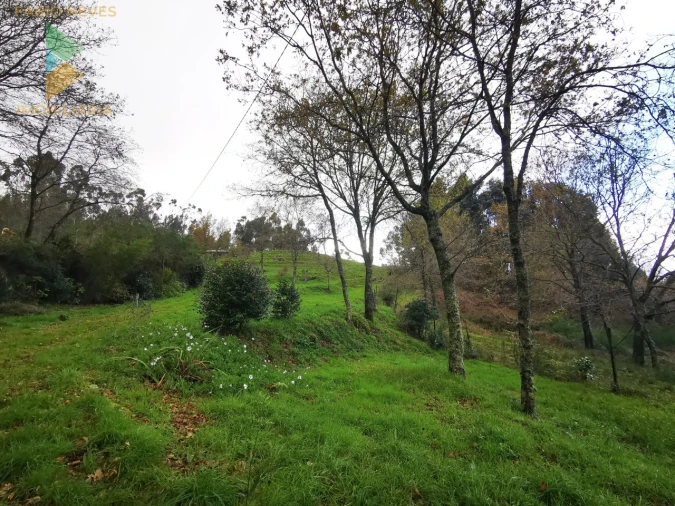 Moradia T2 para Venda em Gondufe Foto 17