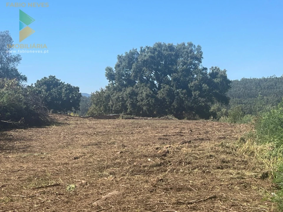 Moradia T4 para Venda em Ribeira Foto 23