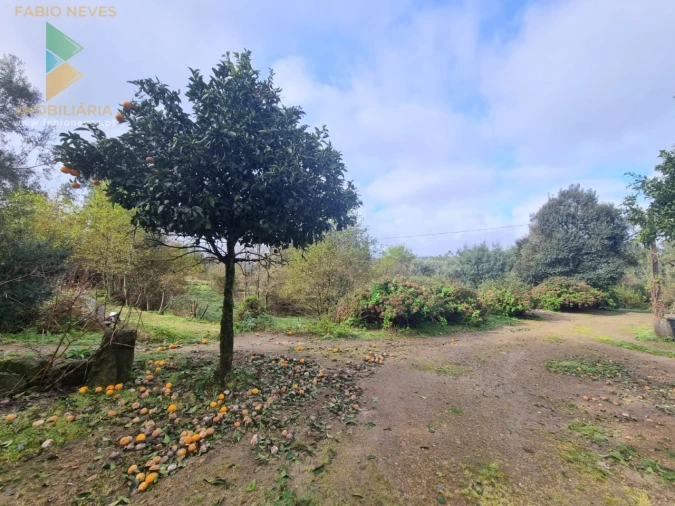 Moradia T3 para Venda em Anais Foto 11