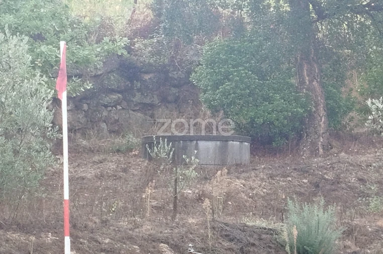 Quinta T2 para Venda em Mangualde, Mesquitela e Cunha Alta Foto 36