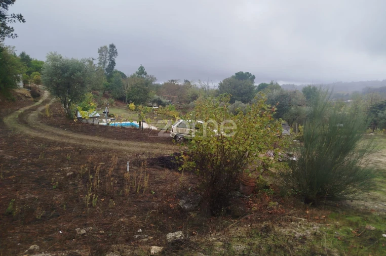 Quinta T2 para Venda em Mangualde, Mesquitela e Cunha Alta Foto 38