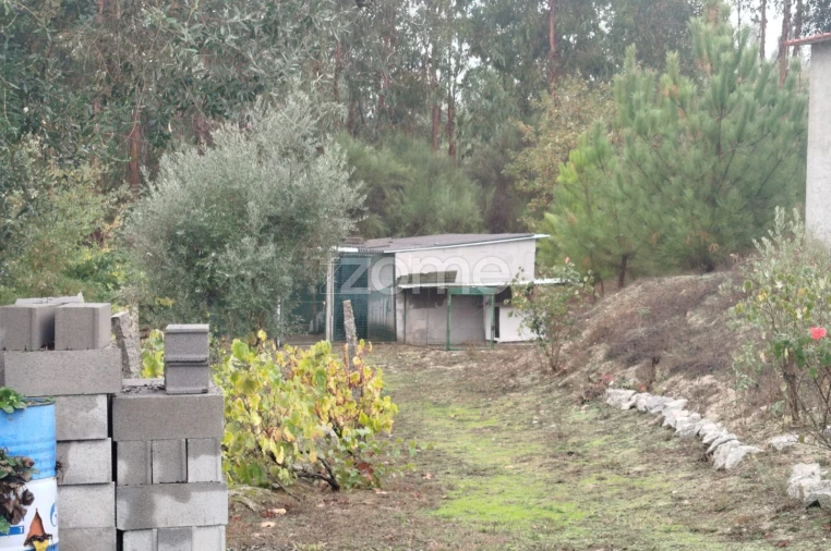 Quinta T2 para Venda em Mangualde, Mesquitela e Cunha Alta Foto 21