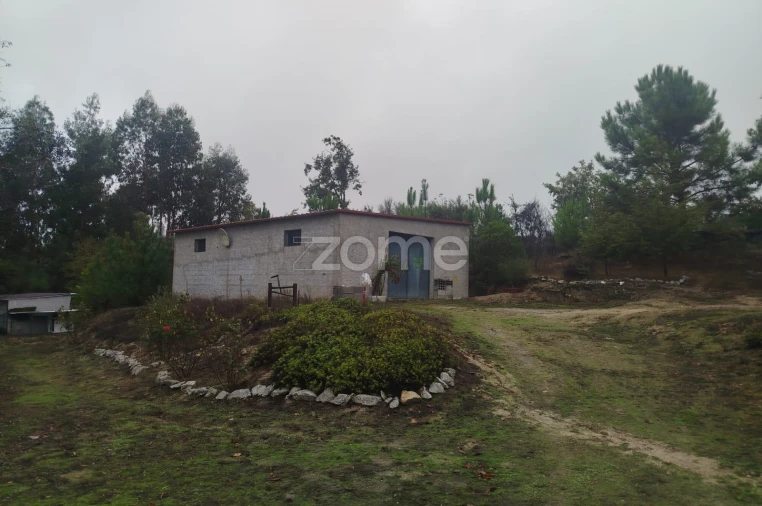 Quinta T2 para Venda em Mangualde, Mesquitela e Cunha Alta Foto 32