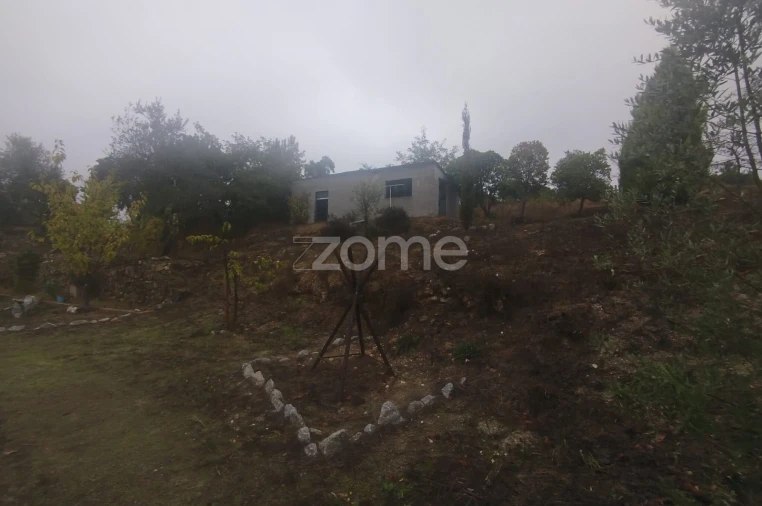 Quinta T2 para Venda em Mangualde, Mesquitela e Cunha Alta Foto 33