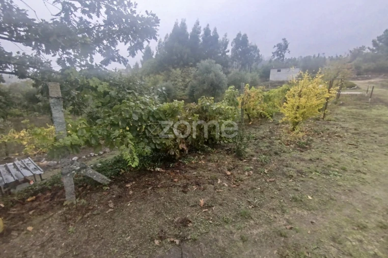 Quinta T2 para Venda em Mangualde, Mesquitela e Cunha Alta Foto 41