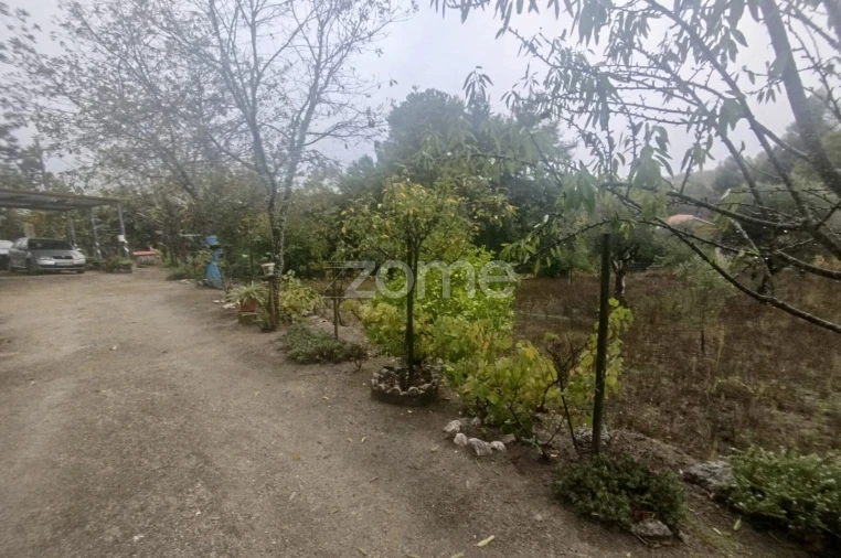 Quinta T2 para Venda em Mangualde, Mesquitela e Cunha Alta Foto 43