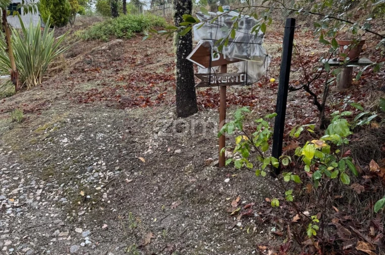 Quinta T2 para Venda em Mangualde, Mesquitela e Cunha Alta Foto 44