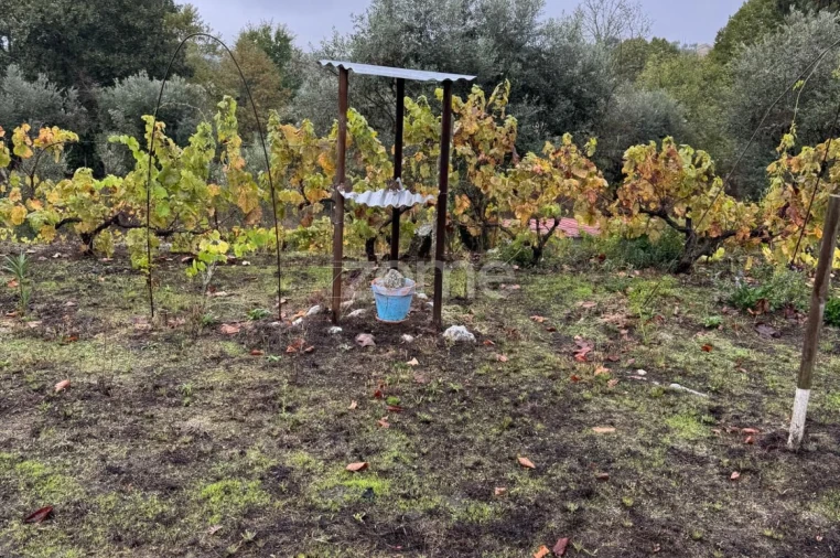 Quinta T2 para Venda em Mangualde, Mesquitela e Cunha Alta Foto 45