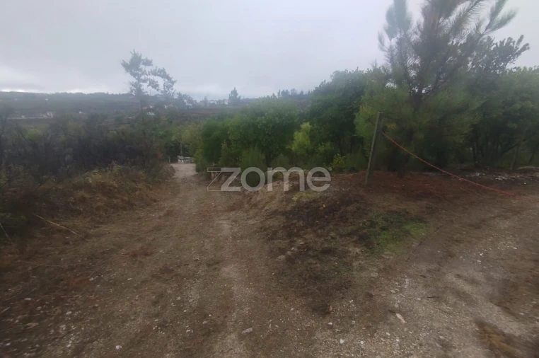 Quinta T2 para Venda em Mangualde, Mesquitela e Cunha Alta Foto 23