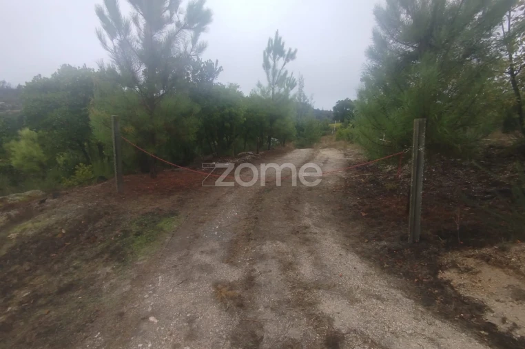 Quinta T2 para Venda em Mangualde, Mesquitela e Cunha Alta Foto 24